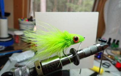 Best Warm Water Fly in New Hampshire