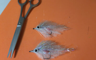 EP Flies