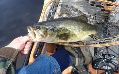 First Fish Of The Year