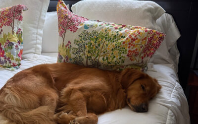 Charlie Is Four Years Old